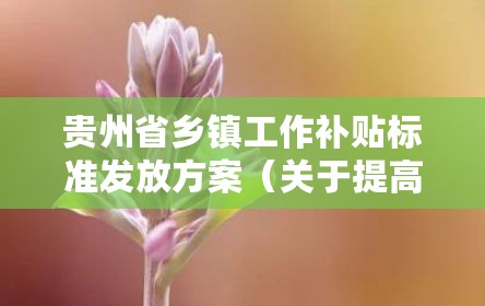 贵州省乡镇工作补贴标准发放方案（关于提高乡镇工作补贴标准的通知）