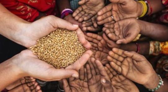 全球面临50年莱最严重粮食危机(粮食危机的后果有哪些？)