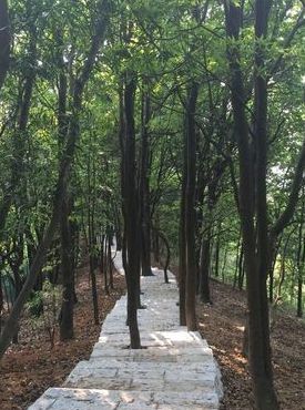 深圳梅林四季山水(梅林公园和梅林山公园哪个好玩呢？)