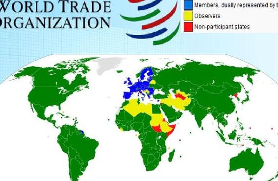 世贸组织成员国(世贸有多少成员国？)