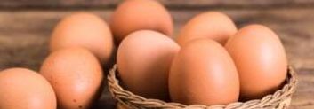 关于鸡蛋最好不要和哪种食物一起存放的信息