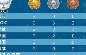 冬奥会格国总金牌榜（历届冬奥会格国金牌榜排名）