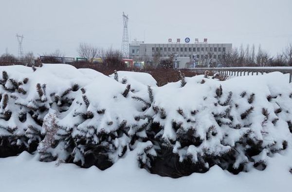 内蒙古暴雪学校停课（内蒙古暴雪2020）