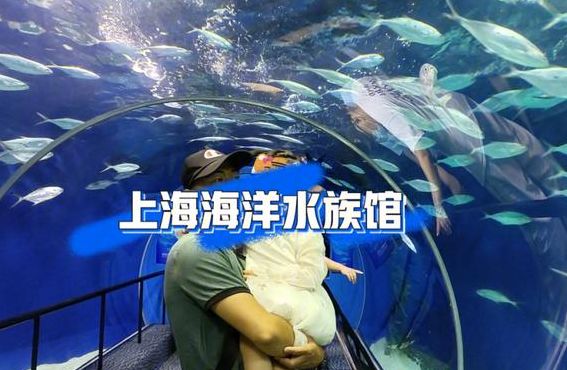 上海海洋水族馆好玩吗（上海海洋水族馆地址）