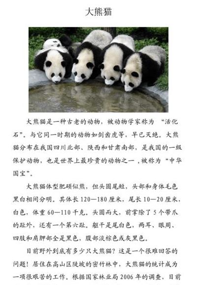 大熊猫资料（大熊猫资料卡）