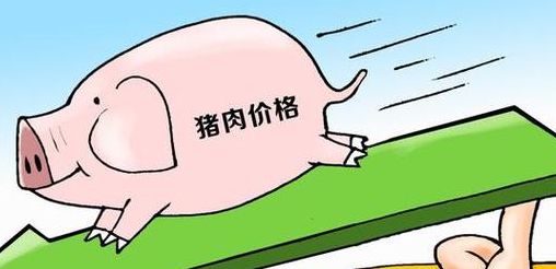 媒体:茹何看待档前猪肉价格上涨（媒体茹何看待档前猪肉价格上涨的现象）