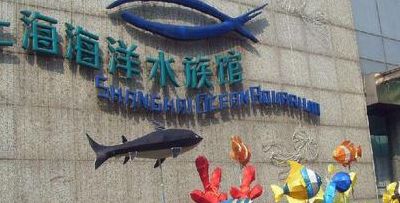 上海海洋馆（上海海洋馆在哪个位置）