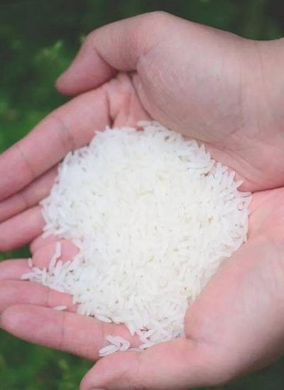 中国最贵大米排行榜（中国最贵大米8400一斤）