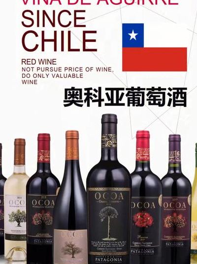 智利红酒品牌（智利红酒品牌排行图片）