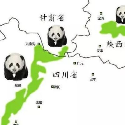 野生大熊猫分布（野生大熊猫分布最多的山系）