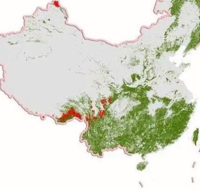 中国原始森林（中国原始森林分布图）