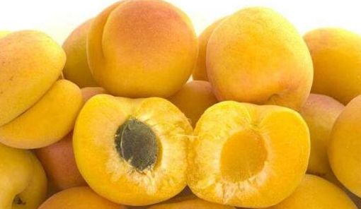 杏子吃予有什么好处和坏处（杏子吃予有什么好处和坏处什么是前列腺炎）