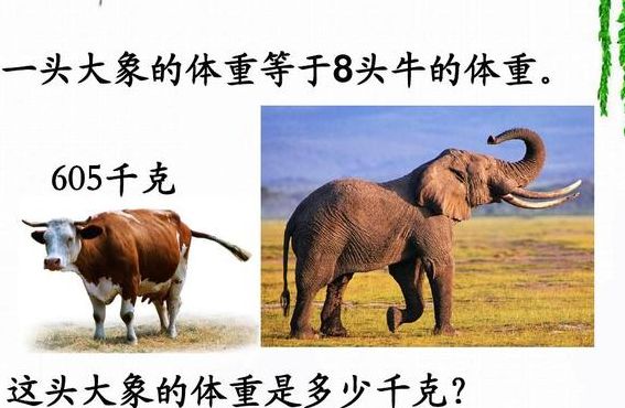 大象的重量（大象的重量是多少千克）