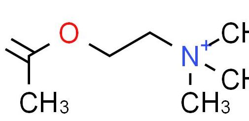 乙酰胆碱的化学本质（乙酰胆碱化学式）