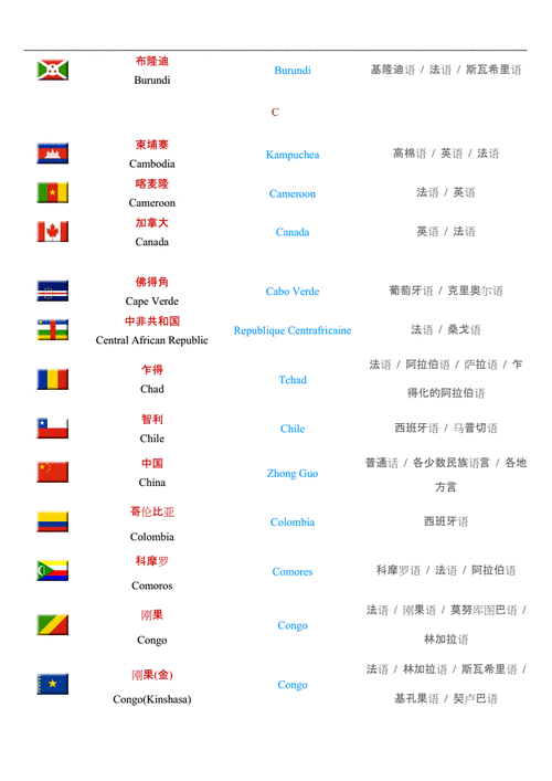 国际通用语言（国际通用语言排名）