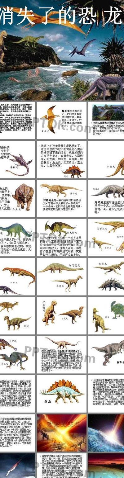 恐龙的名字和特征（恐龙名字及特点）